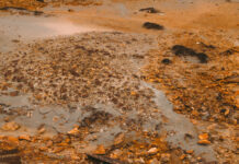 Российские учёные разработали инновационный сорбент для очистки почвы от тяжёлых металлов rossijskie uchyonye razrabotali innovaczionnyj sorbent dlya ochistki pochvy ot tyazhyolyh metallov-onlymainnews-ru-174124408900-0