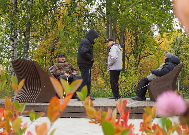 Россияне представляют идеальную пенсию в 100 тысяч рублей при поддержке Владимира Путина-0