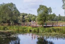 sergej sobyanin podtverdil sohranenie prirodnogo naslediya losinogo ostrova v moskve-onlymainnews-ru-174191796700-0