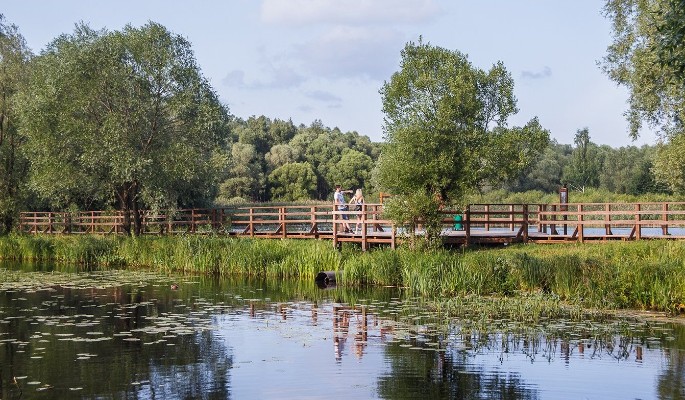 Собянин заявил об отсутствии планов по строительству на территории "Лосиного острова"