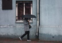 Солнечные дни и весенние дожди встретят астрономическую весну в Приморье solnechnye dni i vesennie dozhdi vstretyat astronomicheskuyu vesnu v primore-onlymainnews-ru-174283010700-0