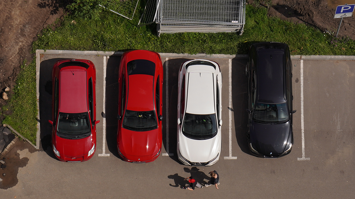 Москвичей призвали не оставлять автомобили рядом с деревьями в шторм