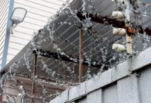 Строгий приговор за инцидент на трассе А-370 «Уссури» в Надеждинском районе Приморья strogij prigovor za inczident na trasse a370 ussuri v nadezhdinskom rajone primorya-onlymainnews-ru-174297206700-0