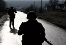 Александр Авдеев сообщил о активном восстановлении безопасности в Киржачском районе aleksandr avdeev soobshhil o aktivnom vosstanovlenii bezopasnosti v kirzhachskom rajone-onlymainnews-ru-174549246000-0