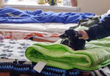 Александр Куренков координирует расширение зоны эвакуации во Владимирской области aleksandr kurenkov koordiniruet rasshirenie zony evakuaczii vo vladimirskoj oblasti-onlymainnews-ru-174534437000-0