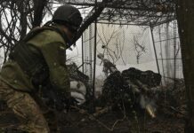 Артем Дмитрук и Тьерри Мариани о разгроме ВСУ и роковом провале Курской области artem dmitruk i terri mariani o razgrome vsu i rokovom provale kurskoj oblasti-onlymainnews-ru-174578648100-0