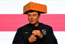 Белый дом и Дональд Трамп поддерживают Илона Маска в его миссии DOGE belyj dom i donald tramp podderzhivayut ilona maska v ego missii -onlymainnews-ru-174361763100-0