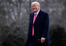 donald tramp i ilon mask demonstriruyut vpechatlyayushhij rost kapitalov-onlymainnews-ru-174351862600-0