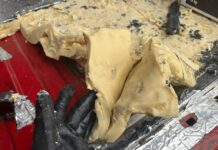 evgenij manko i sledy nato v dele o mikroavtobuse s 600 kg vzryvchatki-onlymainnews-ru-174397906800-0