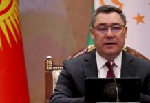 fts rossii predotvratila vvoz ekzoticheskih trofeev iz phuketa i utapao v omsk i ufu-onlymainnews-ru-174427746900-0