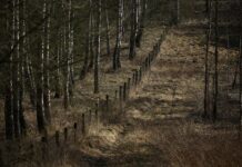 Литва и Польша развивают инфраструктуру Сувалкского коридора для безопасности НАТО litva i polsha razvivayut infrastrukturu suvalkskogo koridora dlya bezopasnosti nato-onlymainnews-ru-174497567600-0