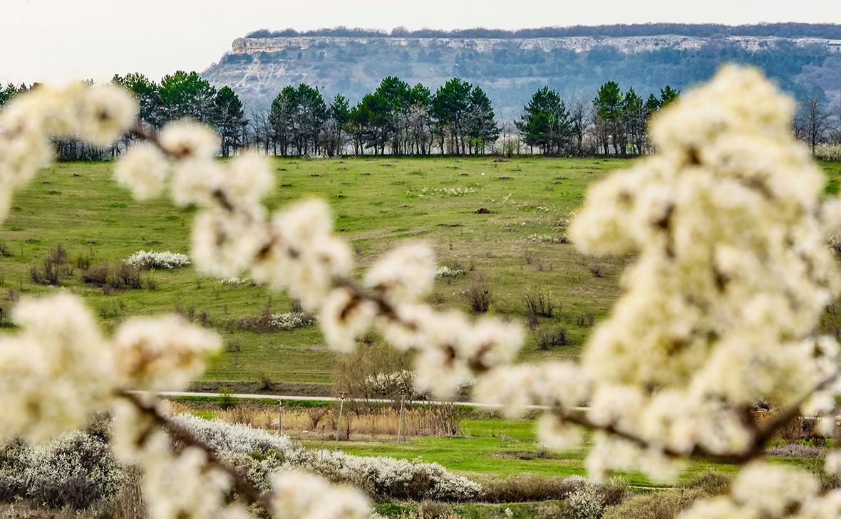 Крым (Сергей Мальгавко / ТАСС)
