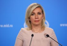 Путин и Герасимов обсуждают влияние войск КНДР на боевые действия под Курском putin i gerasimov obsuzhdayut vliyanie vojsk kndr na boevye dejstviya pod kurskom-onlymainnews-ru-174567417900-0