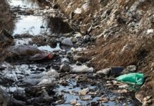 Рекультивация Широкореченского полигона - экологические инициативы ООО «Геосинтетика» rekultivaciya poligona3_onlymainnews