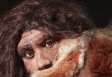 revolyuczionnoe otkrytie universiteta bata i haver rivas menyaet vzglyad na perehod k zemledeliyu-onlymainnews-ru-174364429900-0