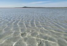 РНФ исследует влияние засоления озера Баскунчак на климат планеты rnf issleduet vliyanie zasoleniya ozera baskunchak na klimat planety-onlymainnews-ru-174599714500-0