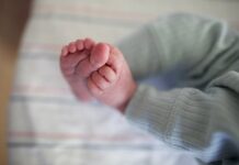 Родильный дом №3 Владивостока празднует рождение богатыря от Светланы Сагайдачной rodilnyj dom 3 vladivostoka prazdnuet rozhdenie bogatyrya ot svetlany sagajdachnoj-onlymainnews-ru-174366884800-0