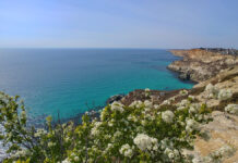 Сергей Аксенов подтвердил успешное восстановление пляжей Крыма после инцидента sergej aksenov podtverdil uspeshnoe vosstanovlenie plyazhej kryma posle inczidenta-onlymainnews-ru-174436863700-0