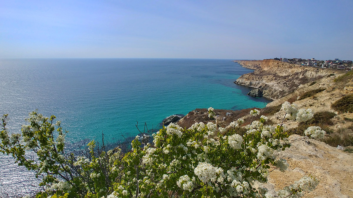 Глава Крыма Аксенов заявил, что пляжи полуострова очистили от мазута