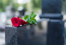 RoseOnTombstoneRedRoseOnGraveLove-Loss