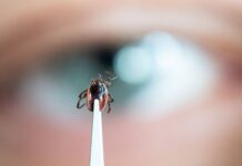 Советы от Елены Павловой и Александра Мясникова - безопасный отдых sovety ot eleny pavlovoj i aleksandra myasnikova bezopasnyj otdyh-onlymainnews-ru-174521064300-0