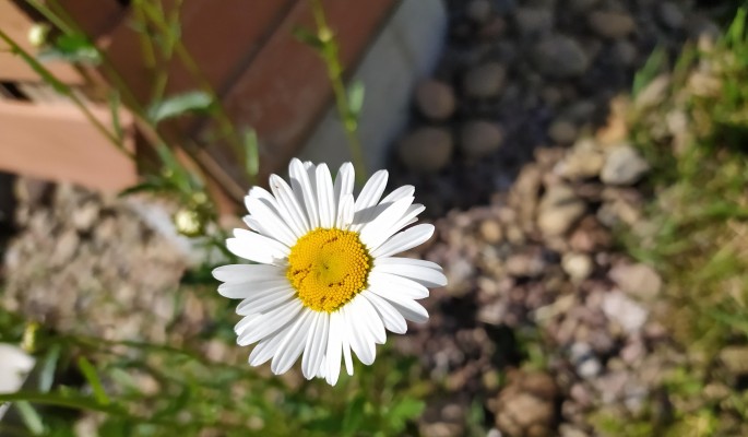 День Петра и Февронии: Что нельзя делать 8 июля 2022 года