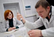 Тамбовский университет раскрыл секрет эффективности наночастиц оксида меди против Escherichia coli tambovskij universitet raskryl sekret effektivnosti nanochasticz oksida medi protiv -onlymainnews-ru-174367644500-0