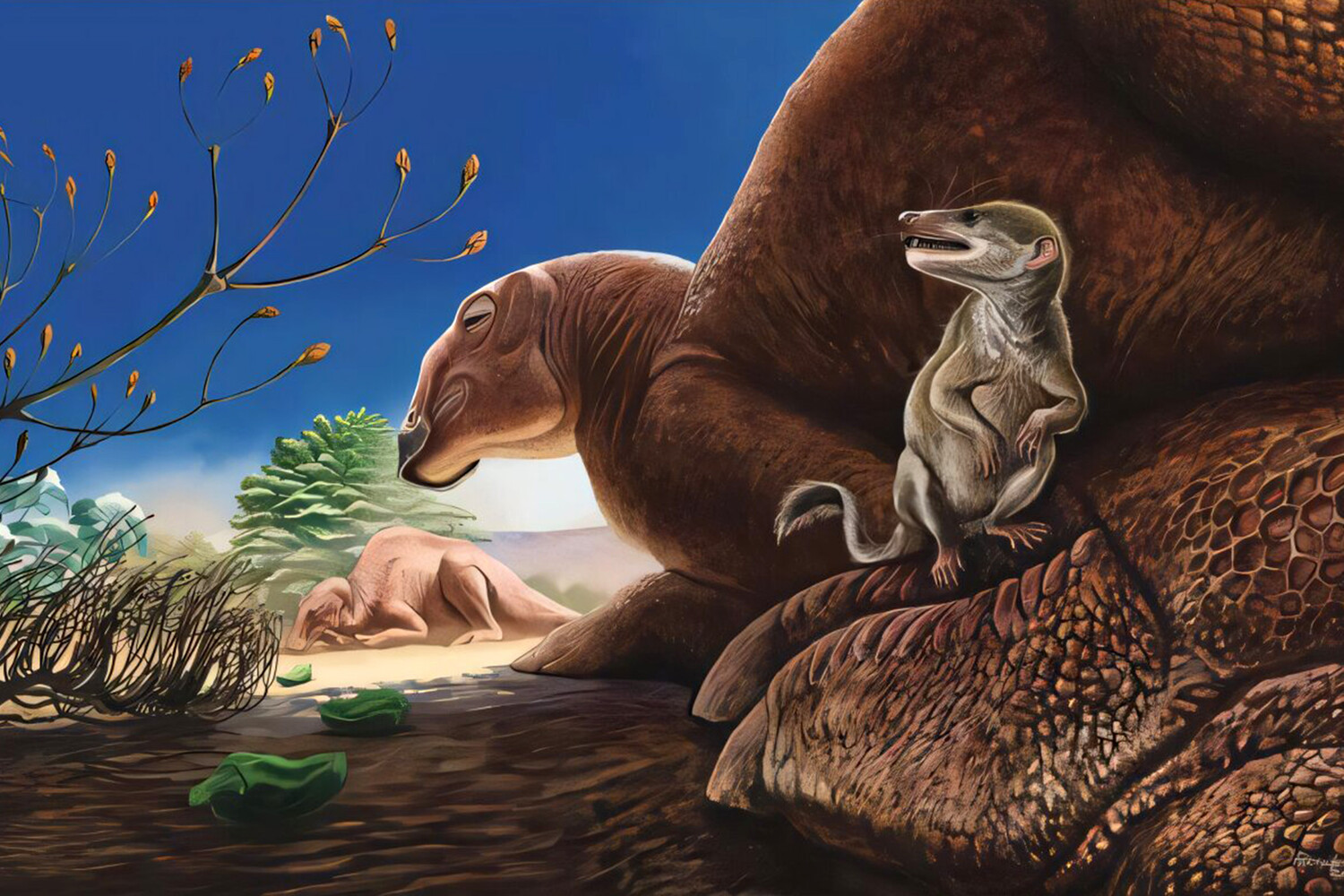 Уникальная находка эпохи динозавров сделана учеными университета Окаямы-0