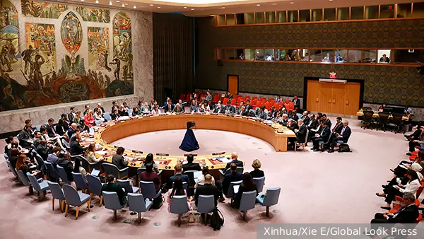 В Совфеде назвали цель запрошенного Россией заседания в СБ ООН по Украине