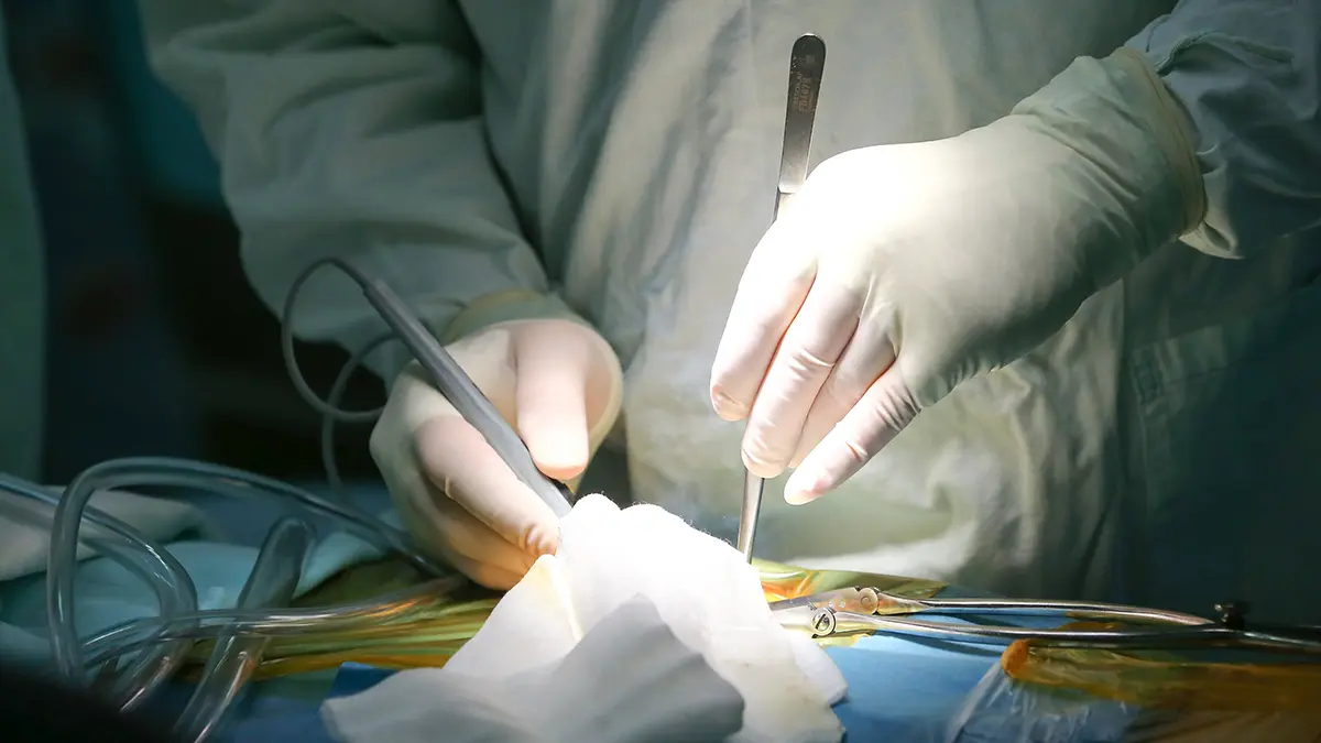 СМИ: Турецкие врачи втайне вырезали сердце загадочно погибшей туристки