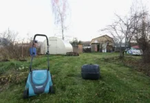 Дмитрий Бондарь объяснил, как избежать штрафов за борщевик Сосновского на участке dmitrij bondar obyasnil kak izbezhat shtrafov za borshhevik sosnovskogo na uchastke-onlymainnews-ru-174849022400-0