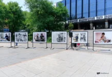 Инна Зеленкова и Краевая детская клиническая больница №1 презентовали фотовыставку о работе детских врачей inna zelenkova i kraevaya detskaya klinicheskaya bolnicza 1 prezentovali fotovystavku o rabote detskih vrachej-onlymainnews-ru-174870952600-0