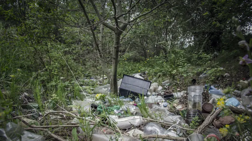 Юрист Соловьёв раскрыл, что грозит за оставленный мусор в лесу
