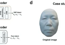 Китайские ученые разработали технологию восстановления лица по ДНК kitajskie uchenye razrabotali tehnologiyu vosstanovleniya licza po dnk-onlymainnews-ru-174706508700-0