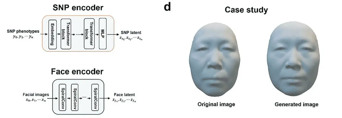 Китайские ученые разработали технологию восстановления лица по ДНК-0
