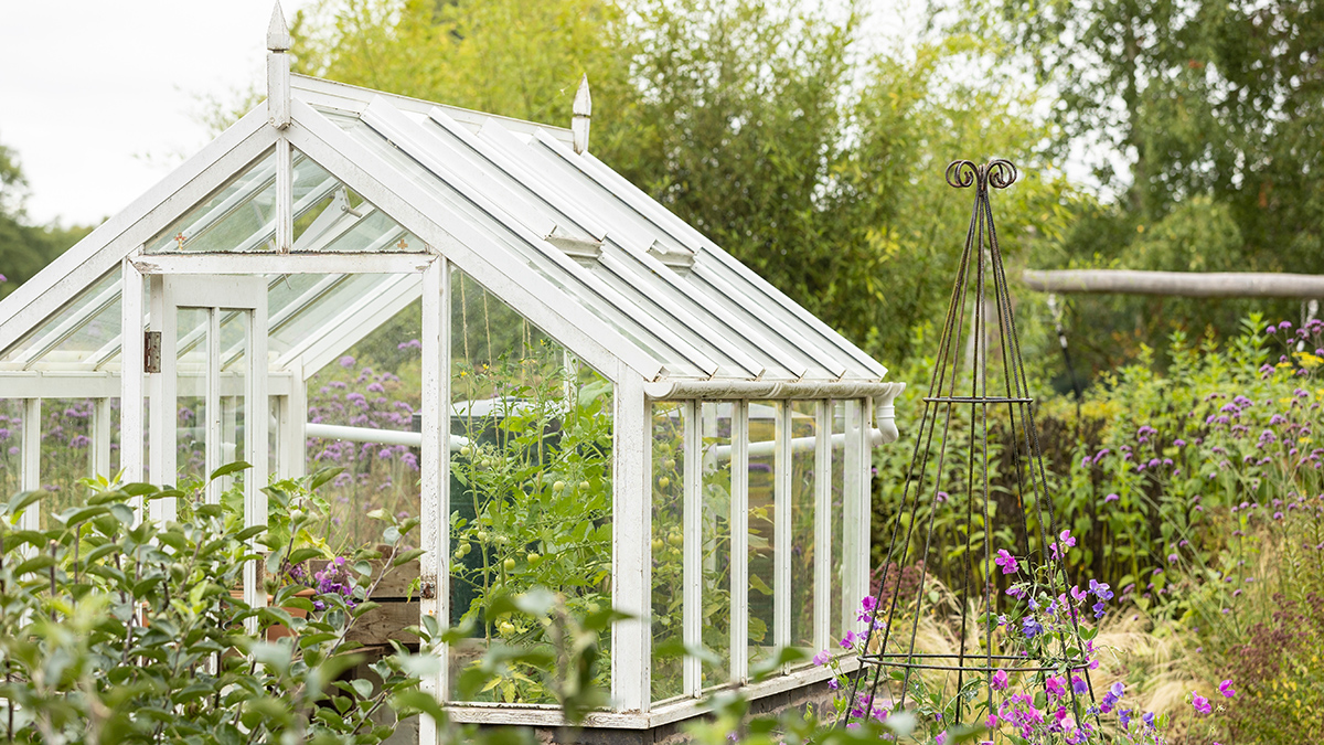 Юрист рассказал о штрафах за теплицы на дачах