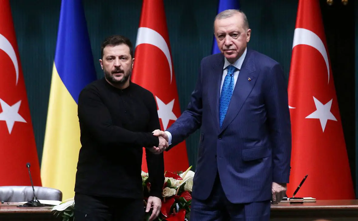 Владимир Зеленский и Реджеп Тайип Эрдоган (Cagla Gurdogan / Reuters)