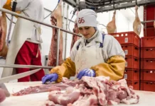 rusagro i korporacziya razvitie otkryvayut novye gorizonty agrobiznesa v belgorodskoj oblasti-onlymainnews-ru-174854783200-0