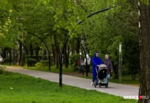 severnoe tushino v moskve zhizn u kanala imeni moskvy i v parkah-onlymainnews-ru-174754278800-0