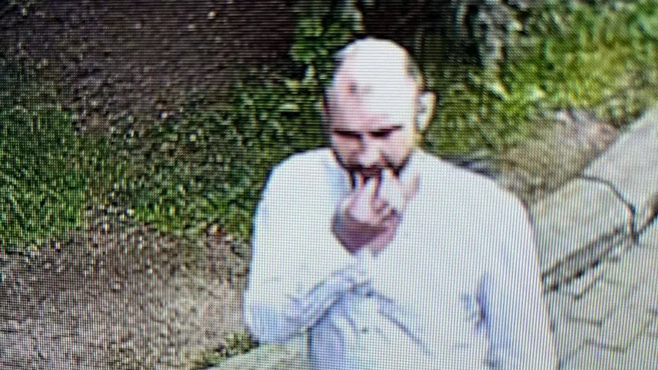 Леопарда Мизера в Московском зоопарке попытались отравить с помощью таблеток