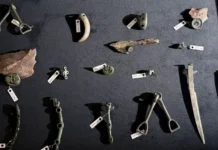 Тимур Садыков рассказал о сенсации в Тыве и золоте скифов timur sadykov rasskazal o sensaczii v tyve i zolote skifov-onlymainnews-ru-174852058600-0