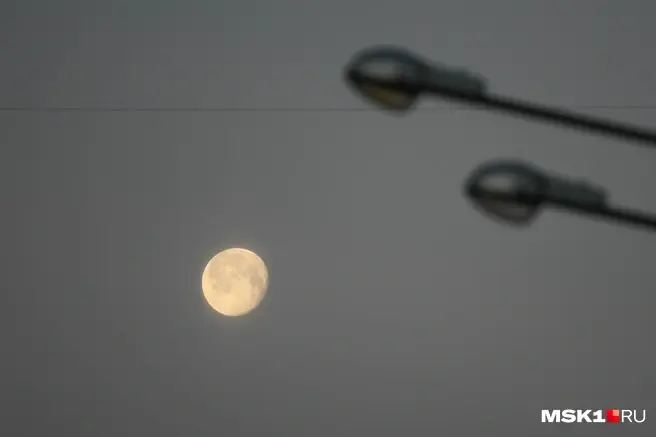 В Северном полушарии полнолуние в июне 2025 года станет самым низким | Источник: Артём Устюжанин / MSK1.RU