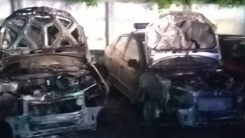 Учительница в декрете подожгла пять автомобилей Росгвардии в Калуге