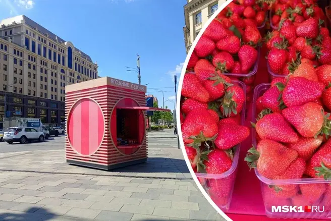 Клубника сладкая, но с кислинкой | Источник: Полина Громова / MSK1.RU