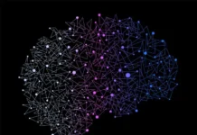 Алисия Воробьева рассказала о том, как мозг сохраняет воспоминания alisiya vorobeva rasskazala o tom kak mozg sohranyaet vospominaniya-onlymainnews-ru-174894399100-0