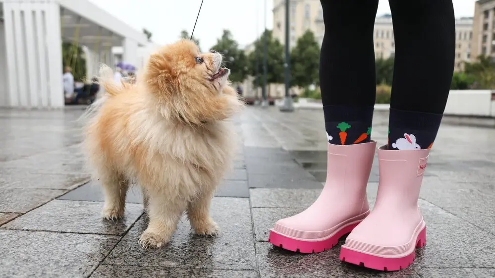 Погода в Москве с 23 по 27 июня