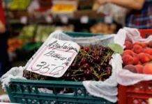 Цены и выбор сочной вишни на Даниловском рынке и в Фуд Сити в Москве czeny i vybor sochnoj vishni na danilovskom rynke i v fud siti v moskve-onlymainnews-ru-0