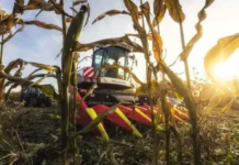 Денис Паслер поддержал кооператив «Килачевский», а Харловское охотобщество помогает аграриям сохранять урожай denis pasler podderzhal kooperativ kilachevskij a harlovskoe ohotobshhestvo pomogaet agrariyam sohranyat urozhaj-onlymainnews-ru-0