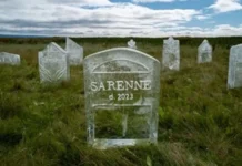 dominik bojer i sajmen hau iz universiteta rajsa uchastvuyut v inicziative oon po sohraneniyu lednikov-onlymainnews-ru-174888419600-0