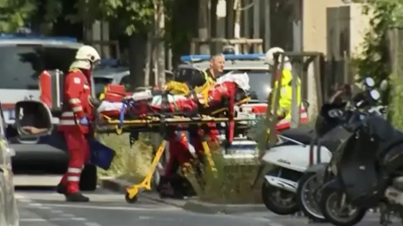 Десять погибших, около 30 госпитализированы: что известно о стрельбе в австрийской школе